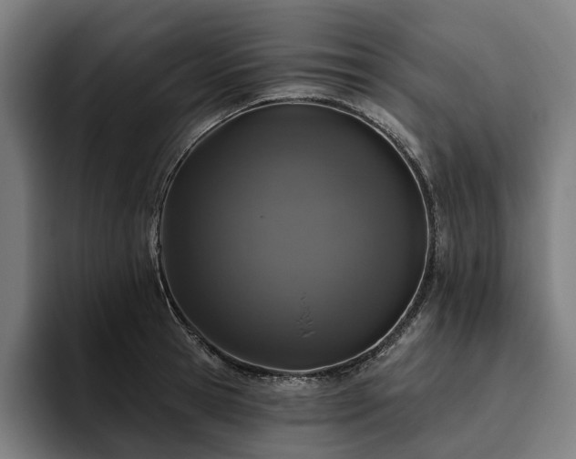 X0000094810945200711161504