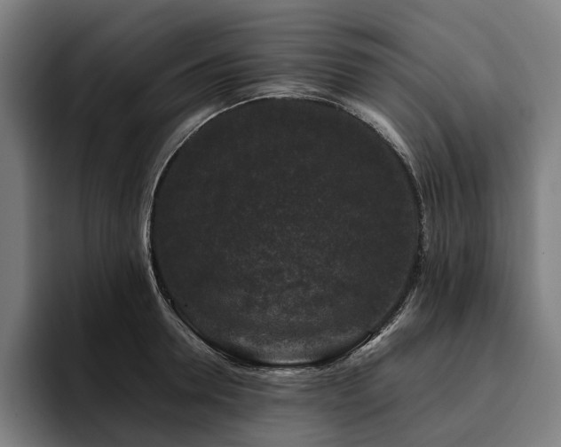 X0000094810946200711161504