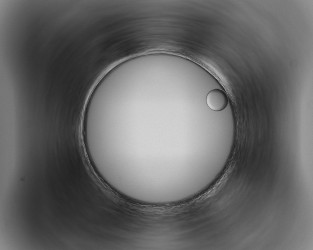 X0000094810948200711161505