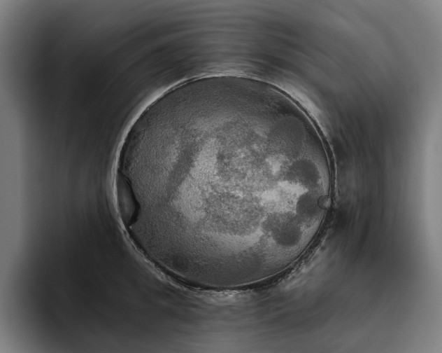 X0000094810949200711161505