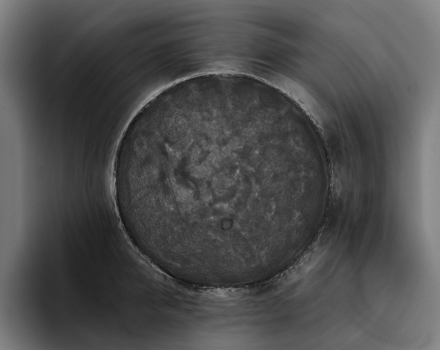 X0000094810950200711161505