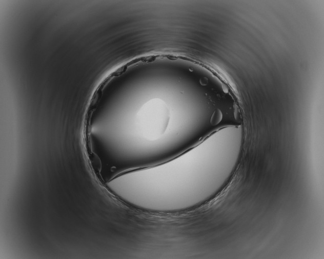 X0000094810952200711161505