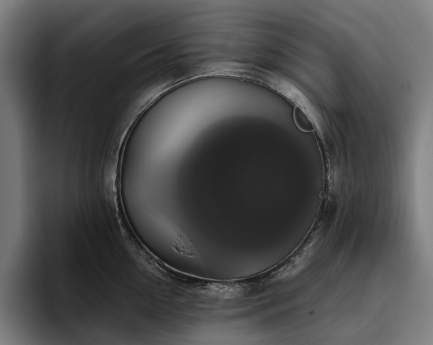 X0000094810954200711161505
