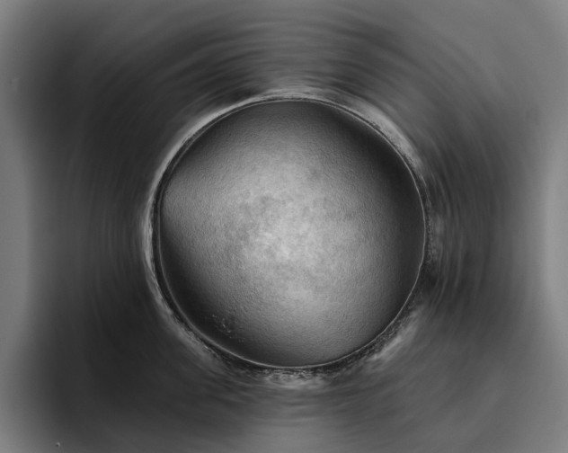 X0000094810955200711161505