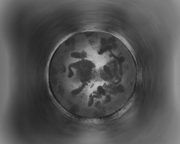 X0000094810957200711161505