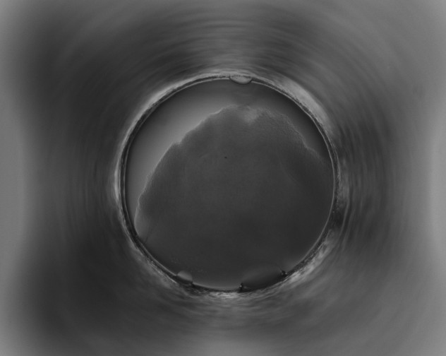 X0000094810958200711161505