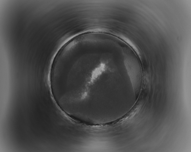 X0000094810959200711161505