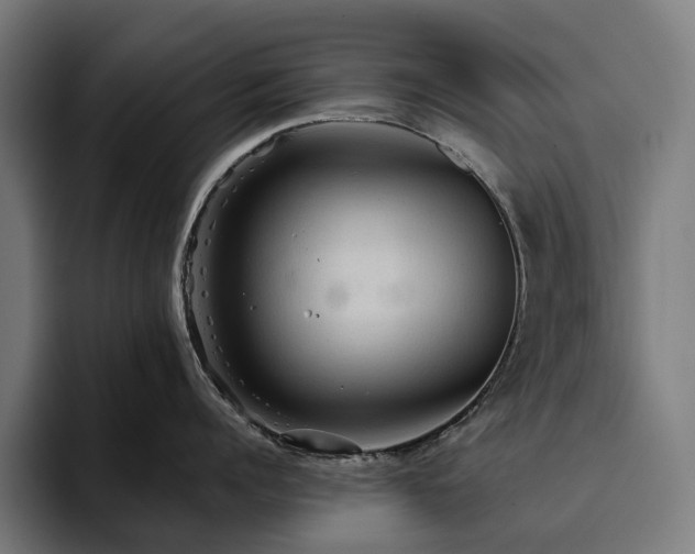 X0000094810960200711161505