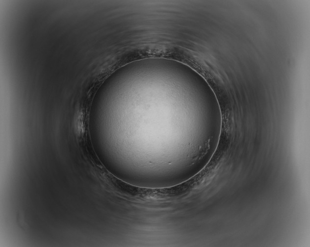 X0000094810962200711161504
