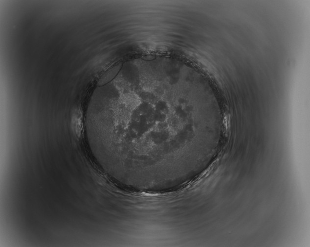 X0000094810963200711161504