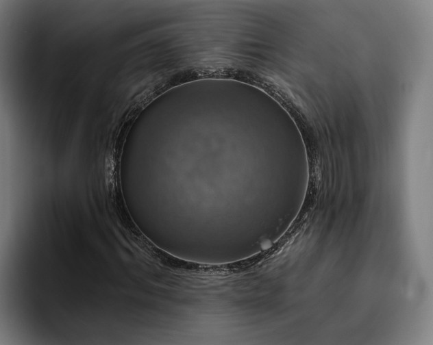 X0000094810964200711161504