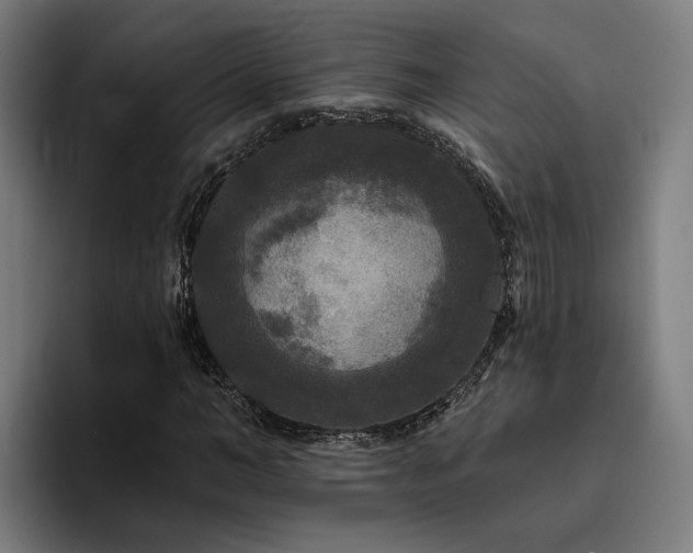 X0000094810966200711161504