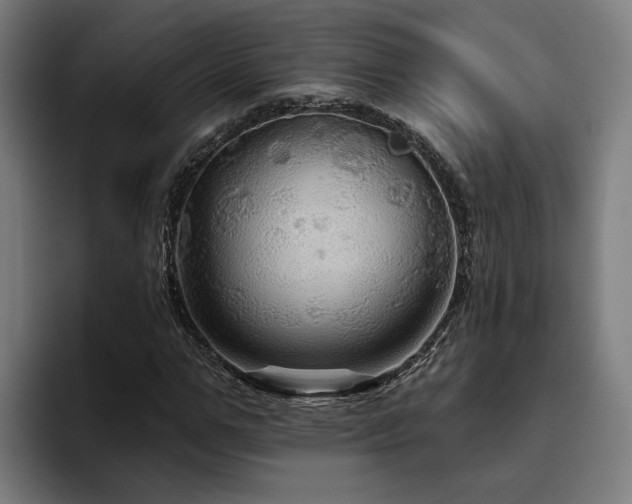X0000094810967200711161504