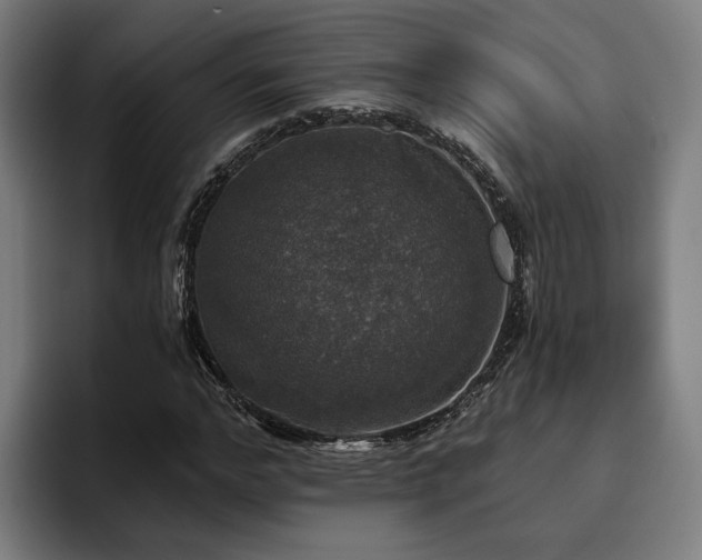 X0000094810968200711161504
