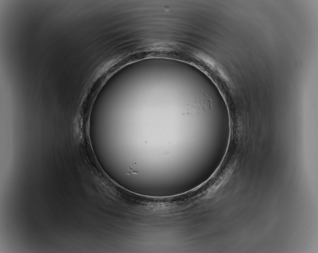 X0000094810970200711161504