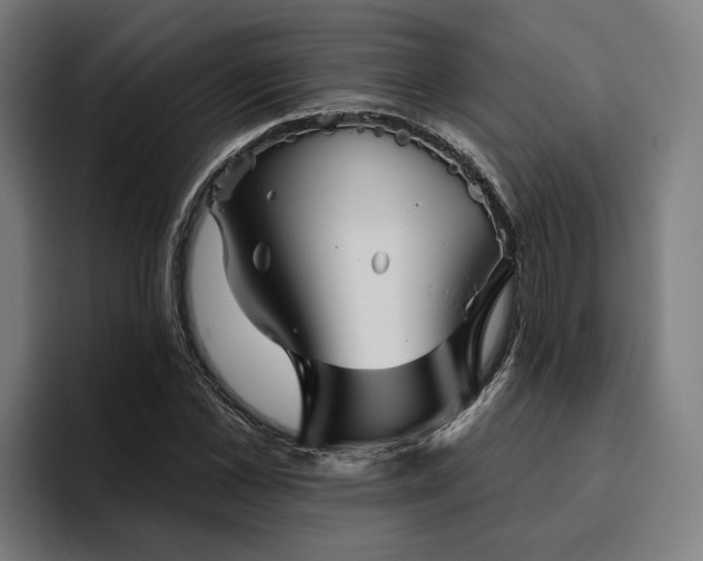 X0000094810973200711161504