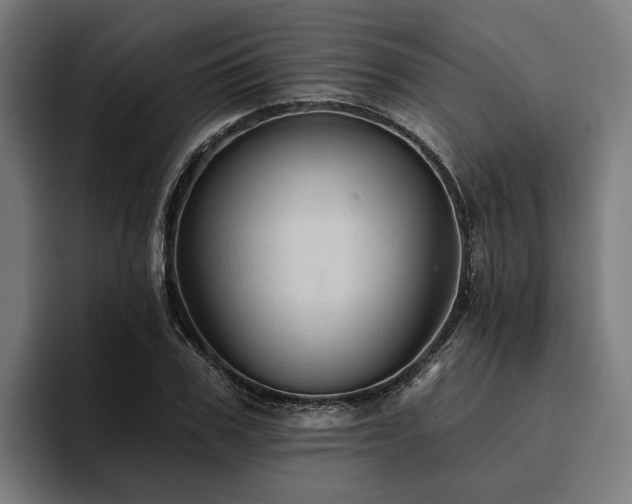 X0000094810979200711161504