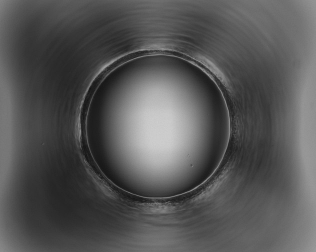X0000094810980200711161504