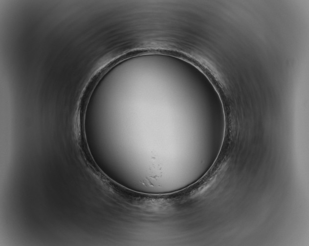 X0000094810982200711161504