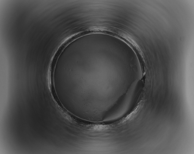 X0000094810984200711161504