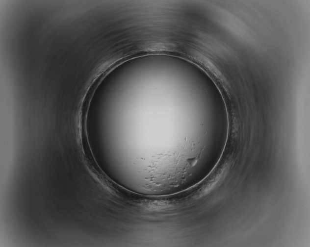 X0000094810986200711161504