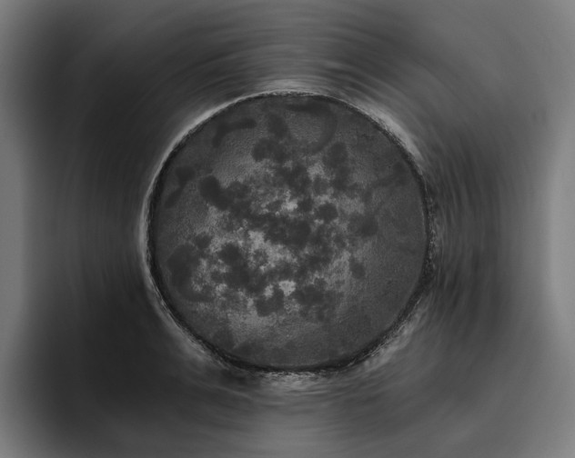 X0000094810991200711161504