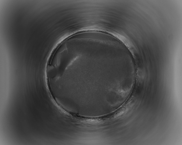 X0000094810998200711161504