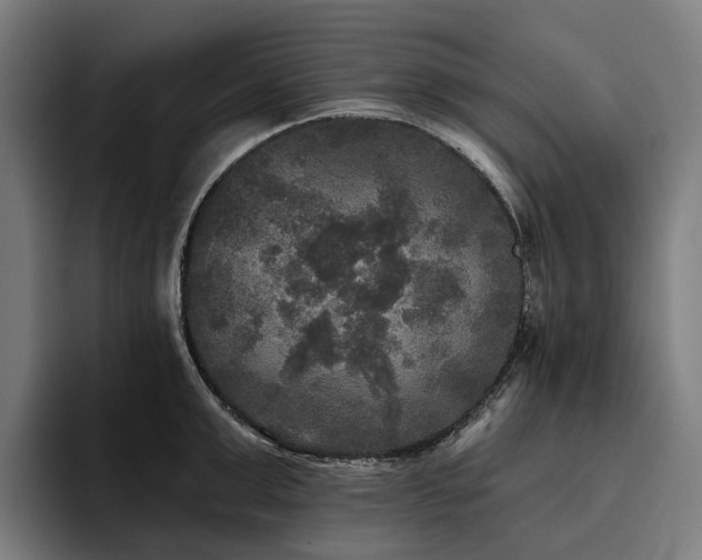 X0000094810999200711161504