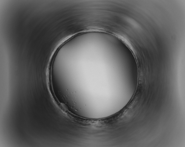 X0000094811003200711161503