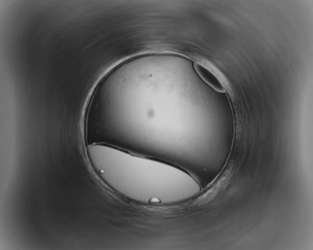 X0000094811004200711161503