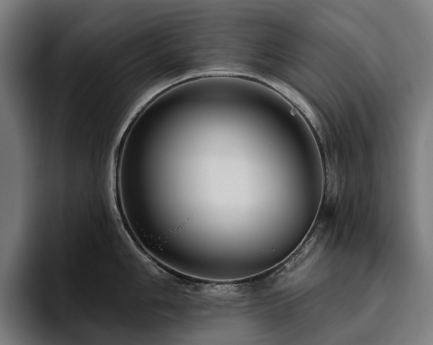 X0000094811006200711161503