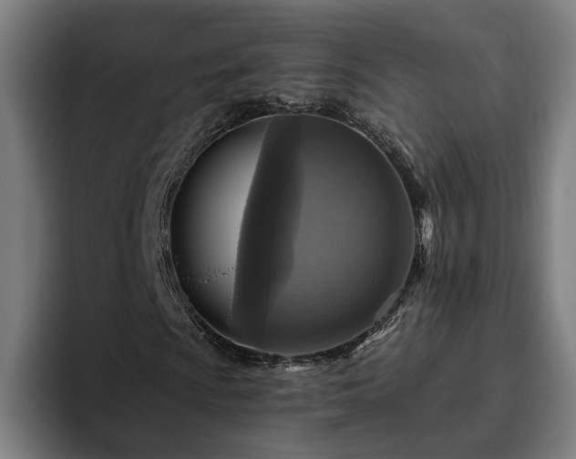 X0000094811009200711161503
