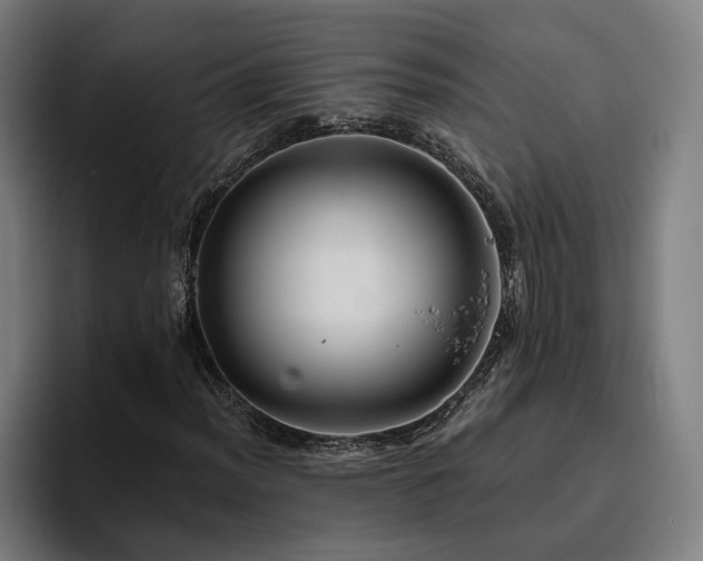 X0000094811012200711161503