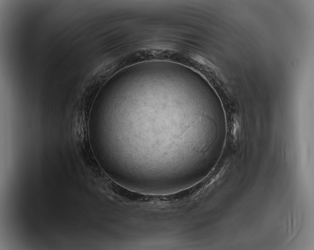 X0000094811014200711161503