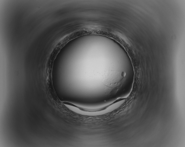 X0000094811016200711161503
