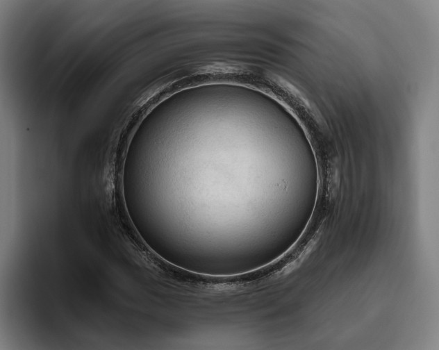 X0000094811017200711161503