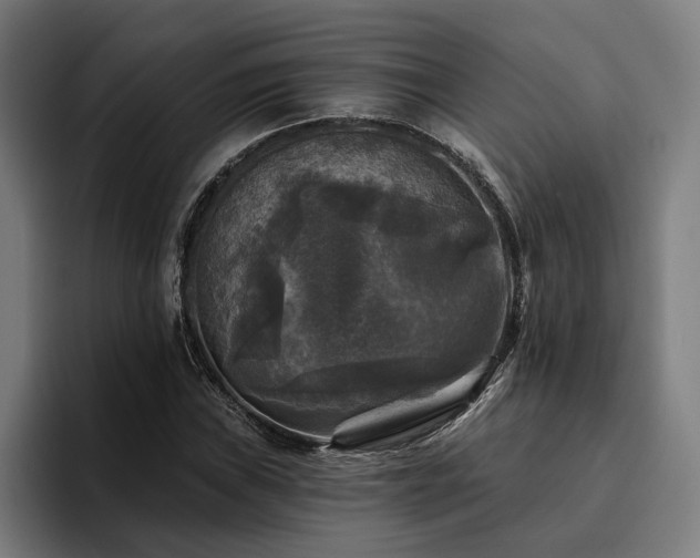 X0000094811019200711161503