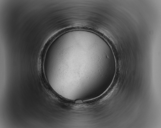 X0000094811021200711161503