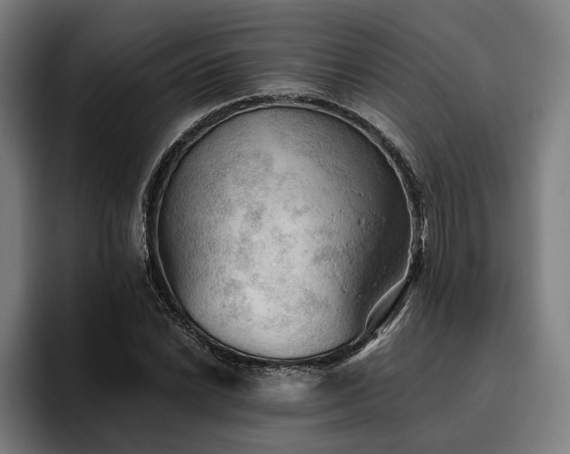 X0000094811022200711161503