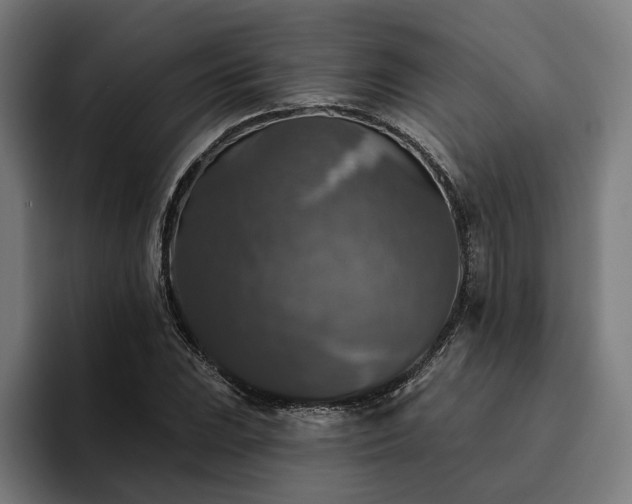 X0000094811023200711161503