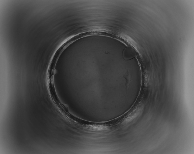 X0000094811024200711161503