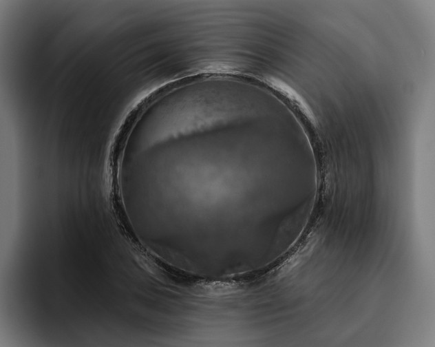 X0000094811027200711161503