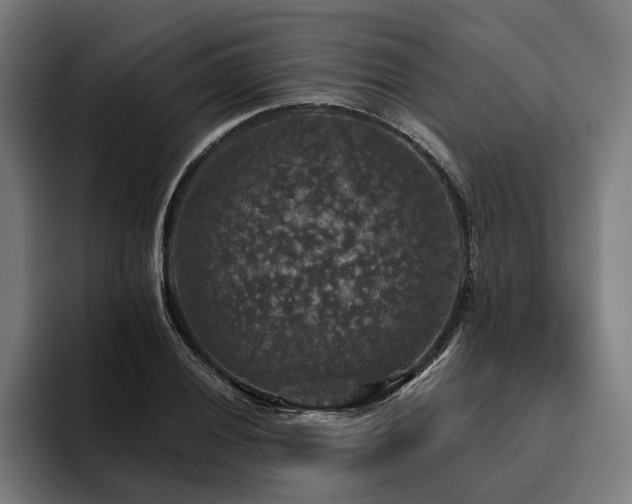 X0000094811028200711161503