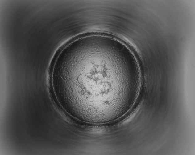 X0000094811029200711161503