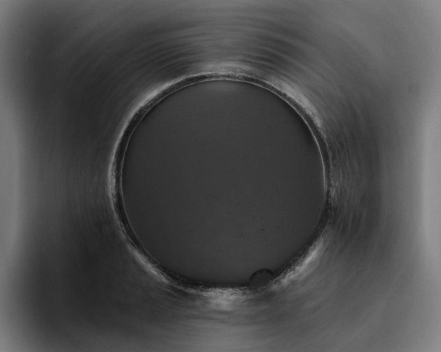 X0000094811037200711161503