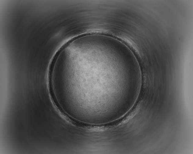 X0000094811038200711161503