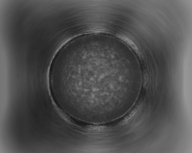 X0000094811039200711161503