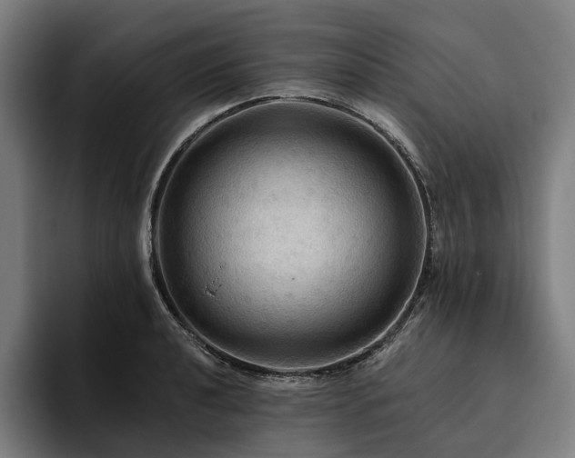 X0000094811040200711161503