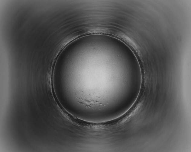 X0000094811041200711161503