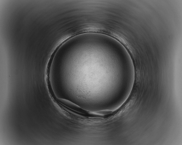 X0000094811042200711161503
